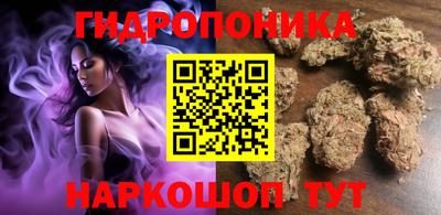 МДПВ Новозыбков