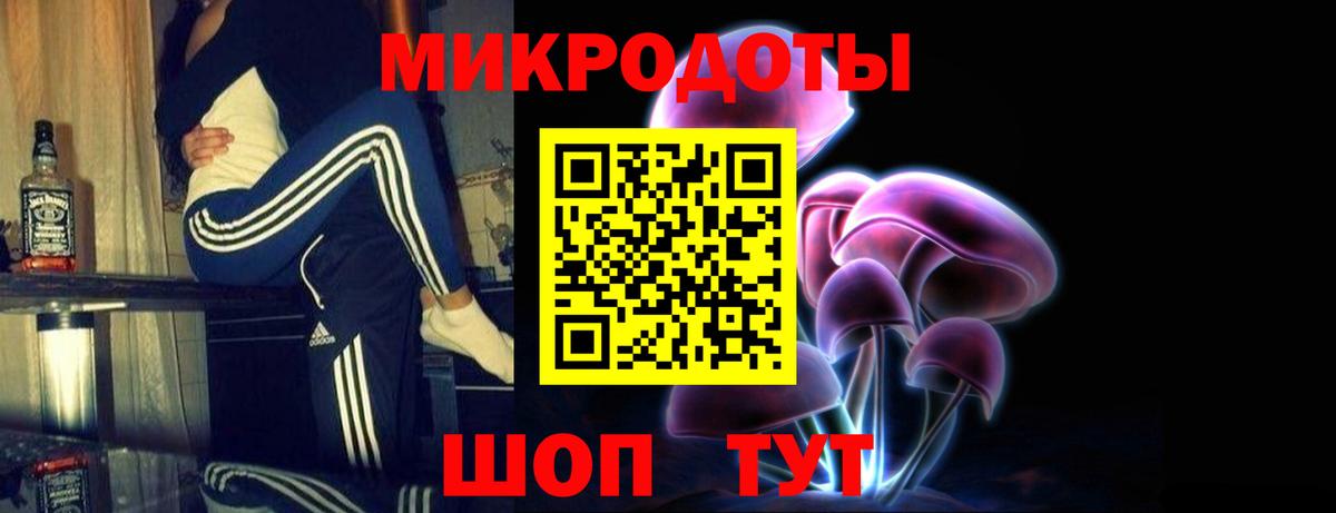 Галлюциногенные грибы Psilocybine cubensis Белая Калитва